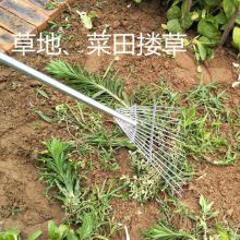 珂玮 园艺园林工具农具草种播种专用耙子搂草筢子水草铁杷猪八戒耙子 普通型一把